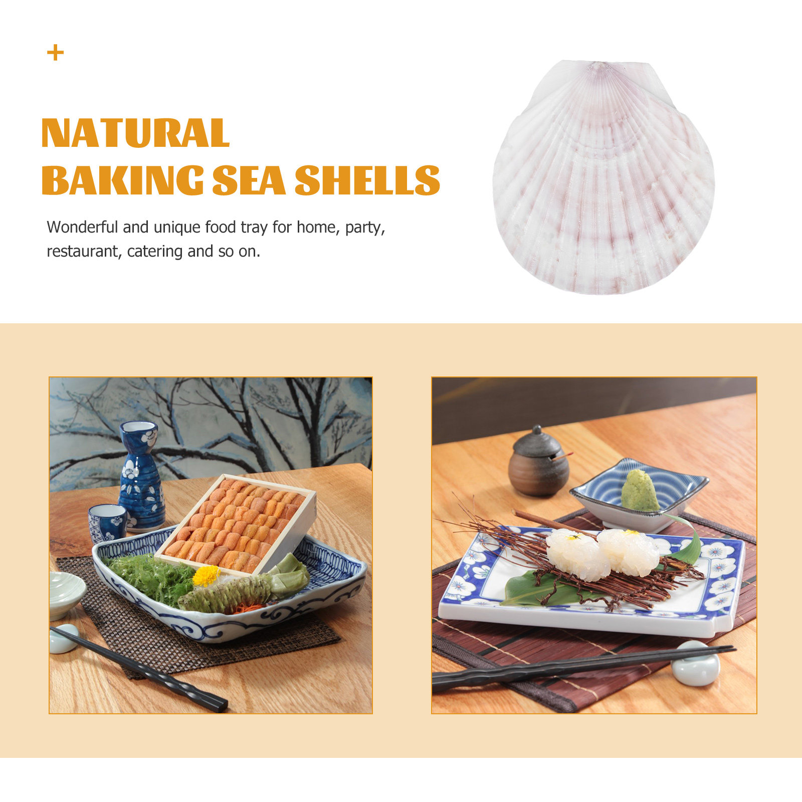 10Pcs Natural Scallop Shells F - Mom'S Home Cooking のレビューと価格