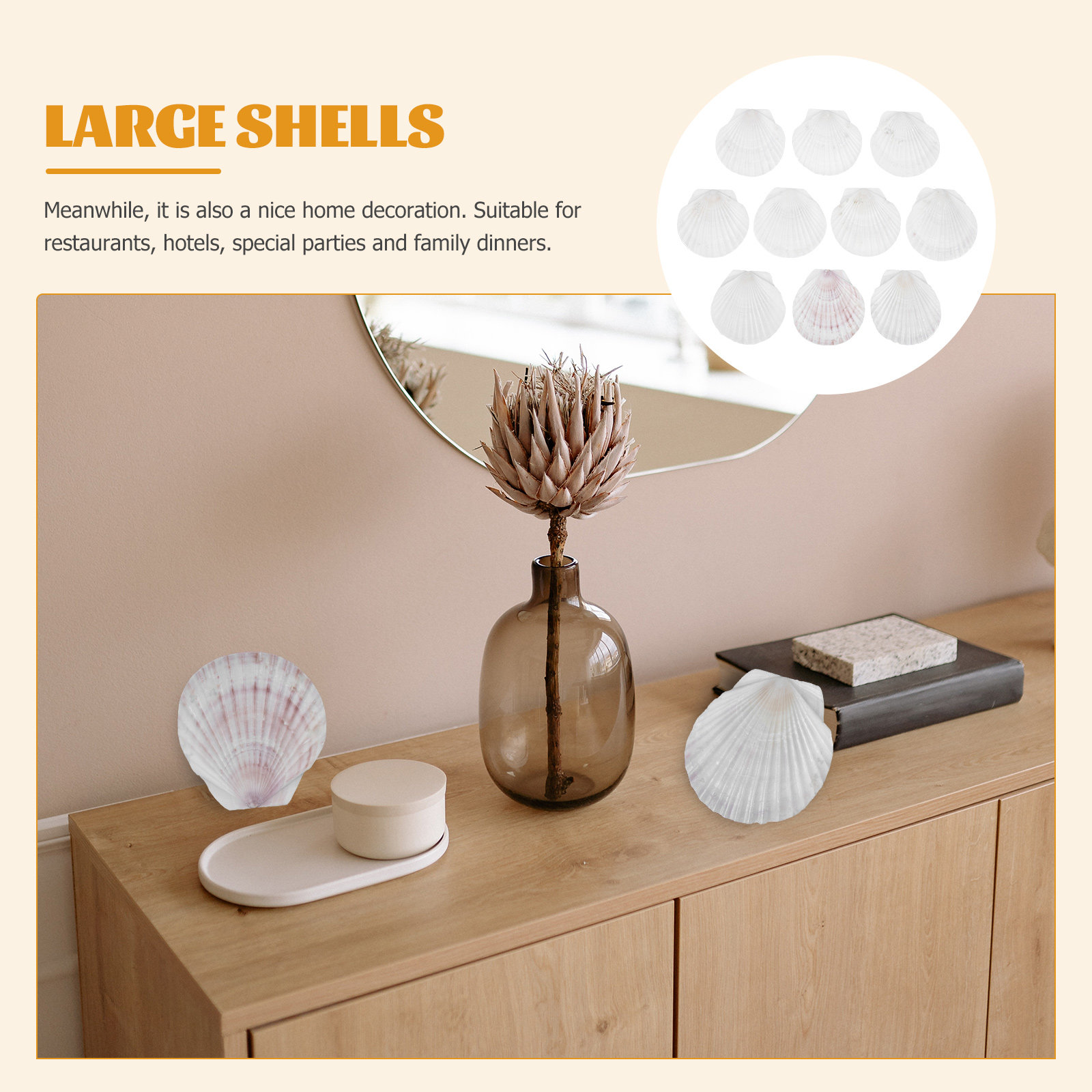 10Pcs Natural Scallop Shells F - Mom'S Home Cooking のレビューと価格