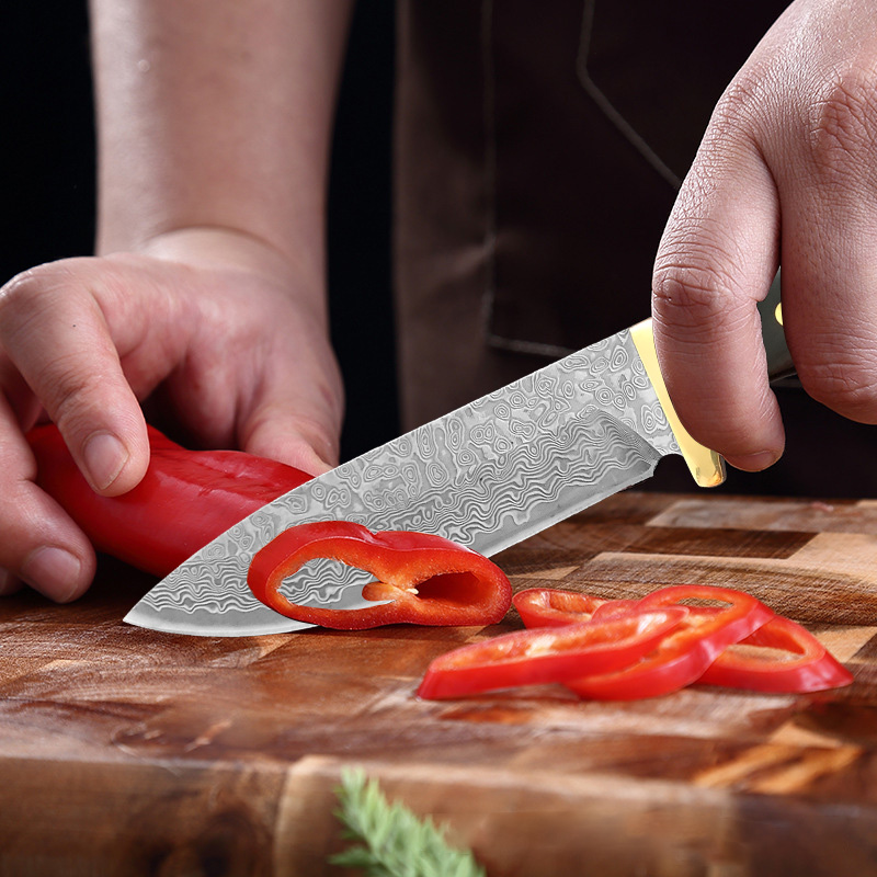 Premium VG10 Damascus Kitchen  - Home Cooking Japanese Food のレビューと価格